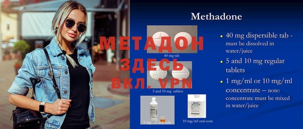 индика Алексин