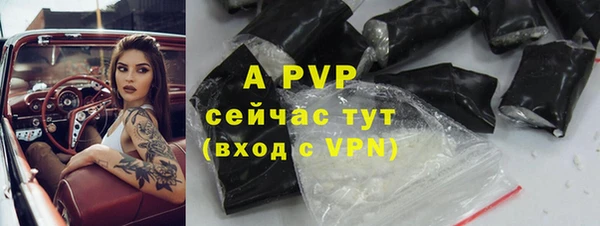 индика Алексин