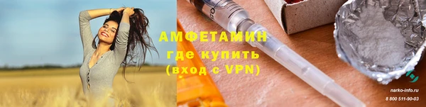 индика Алексин
