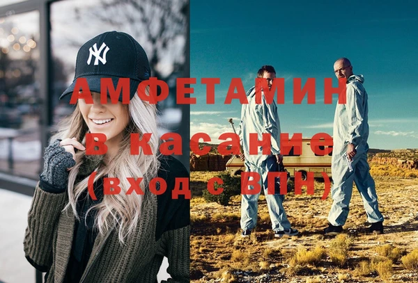 индика Алексин