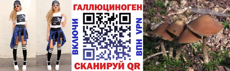 hydra как зайти  Феодосия  Псилоцибиновые грибы Psilocybine cubensis 