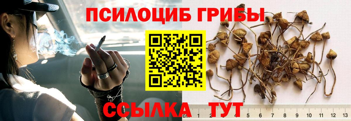 наркошоп  Галлюциногенные грибы мицелий  Вход с VPN  Феодосия  Псилоцибиновые грибы Psilocybine cubensis 